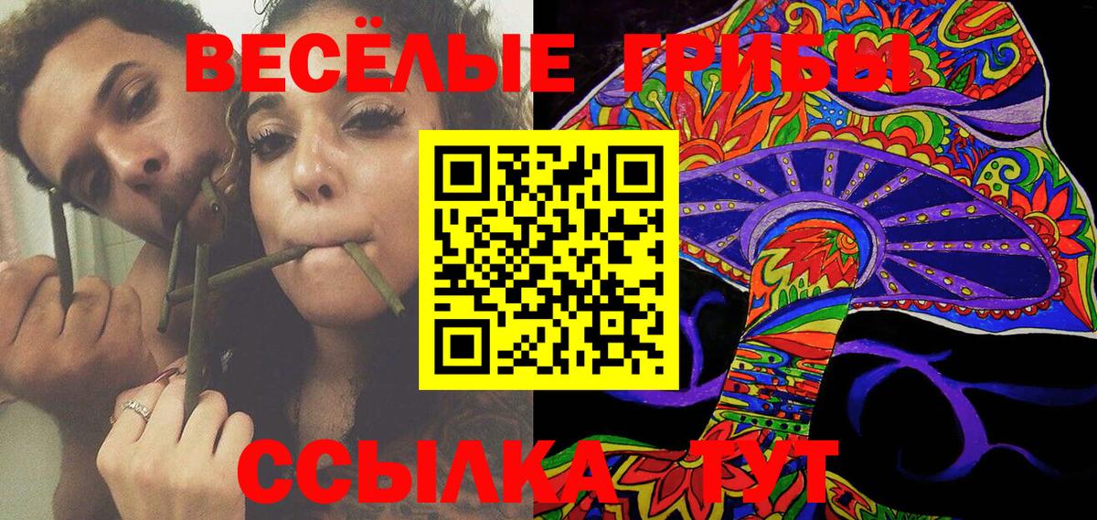 Тихорецк  Галлюциногенные грибы Magic Shrooms  Галлюциногенные грибы мицелий  Вход с VPN 